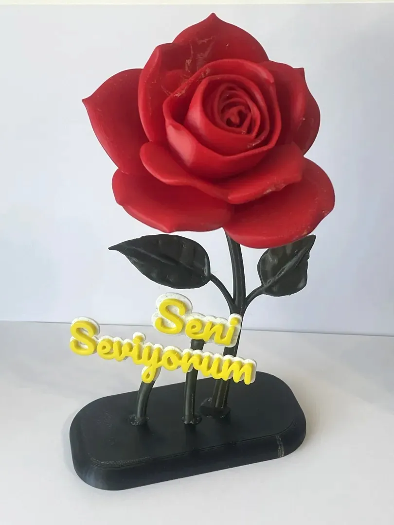 Gül Standı - SENİ SEVİYORUM Sevgililer Günü Hediyesi